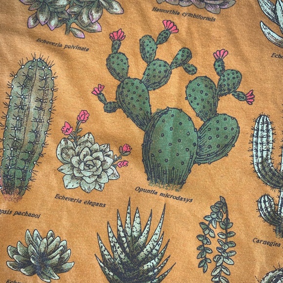 Women’s Cactus & Succulent Graphic Tees Bundle - Picture 3 of 6
